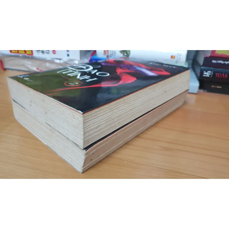 ĐẠO TÌNH tiểu thuyết  747540