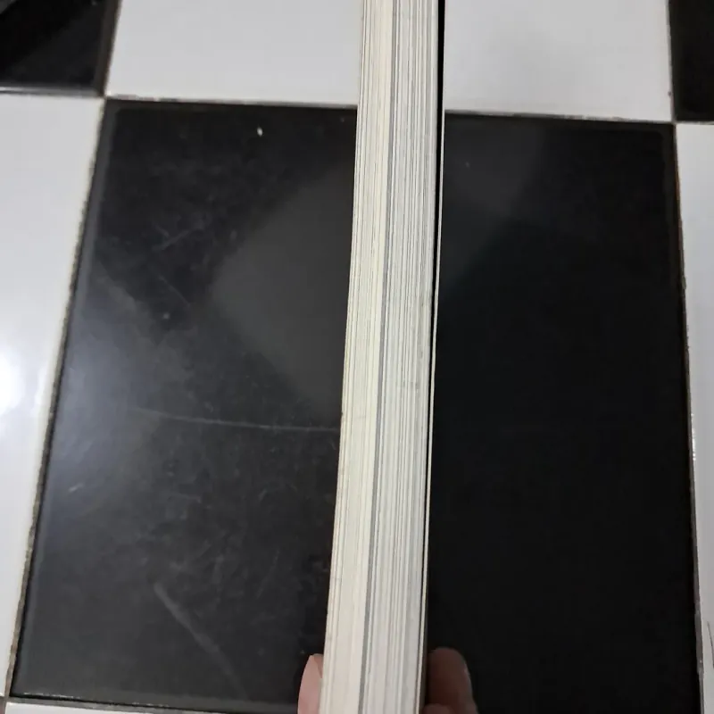 Viết và đọc chuyên đề mùa hạ 2024 1010304