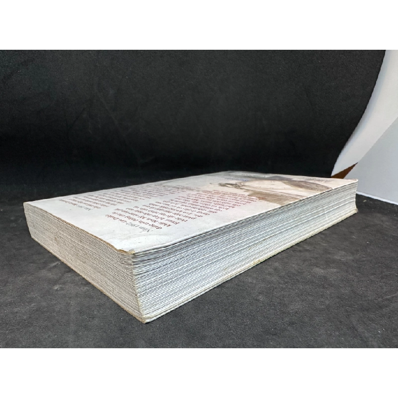Tình yêu chân chính Danny Scheinmann New 80% SBM0905 450653