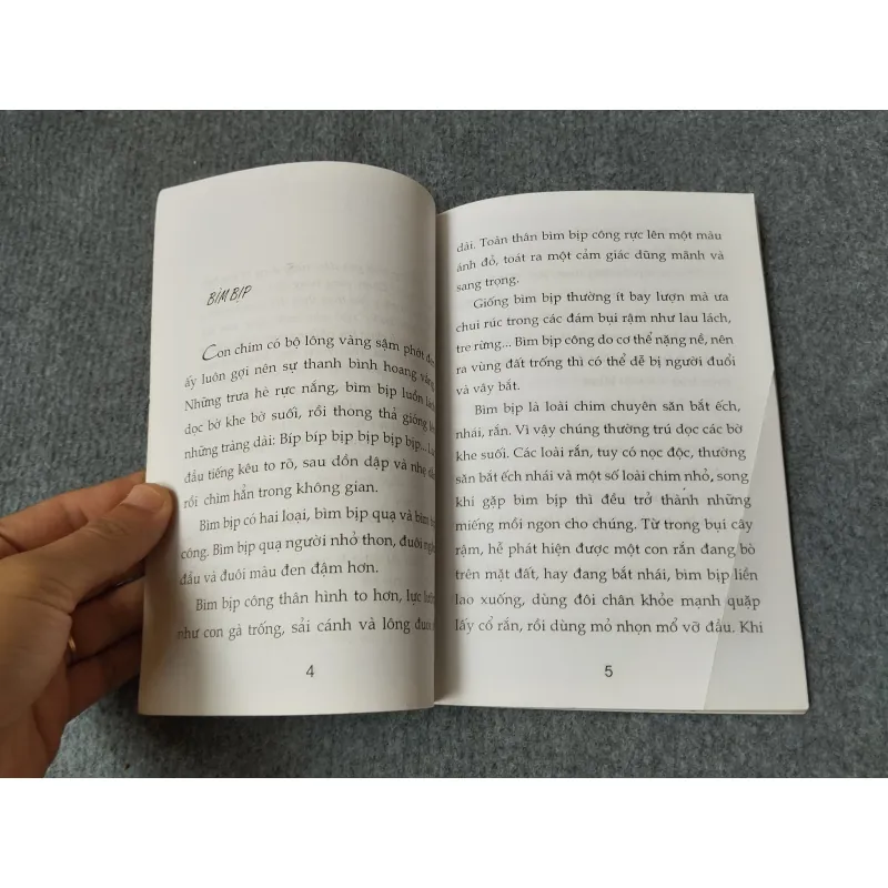 SƠN CA CỦA NÚI RỪNG 720694