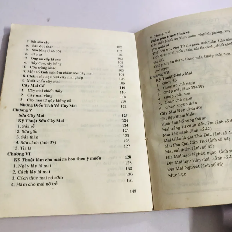KỸ THUẬT TRỒNG VÀ GHÉP MAI 595067