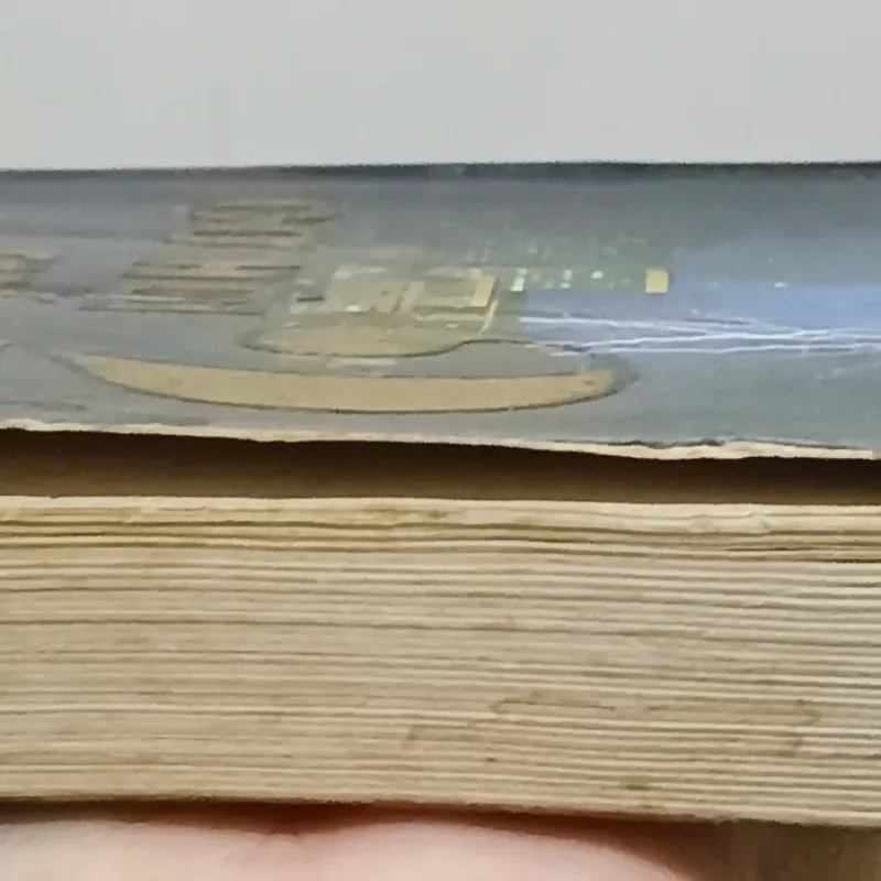 Cơ hội thứ 2 🌻 1002501