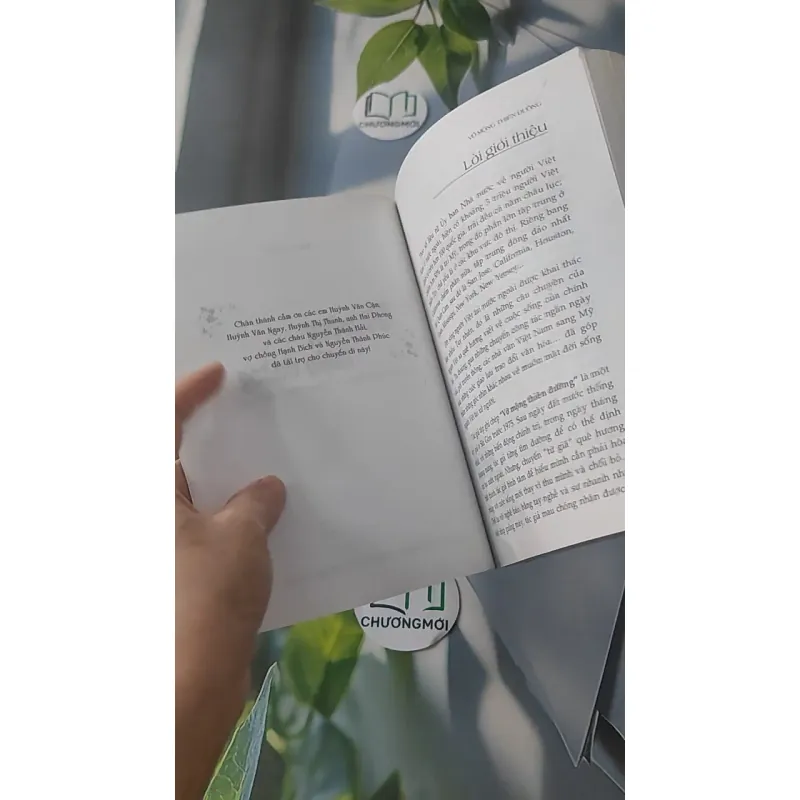 Vỡ Mộng Thiên Đường - Người Việt tha phương trên đất  Mỹ - Anh Thư 928493