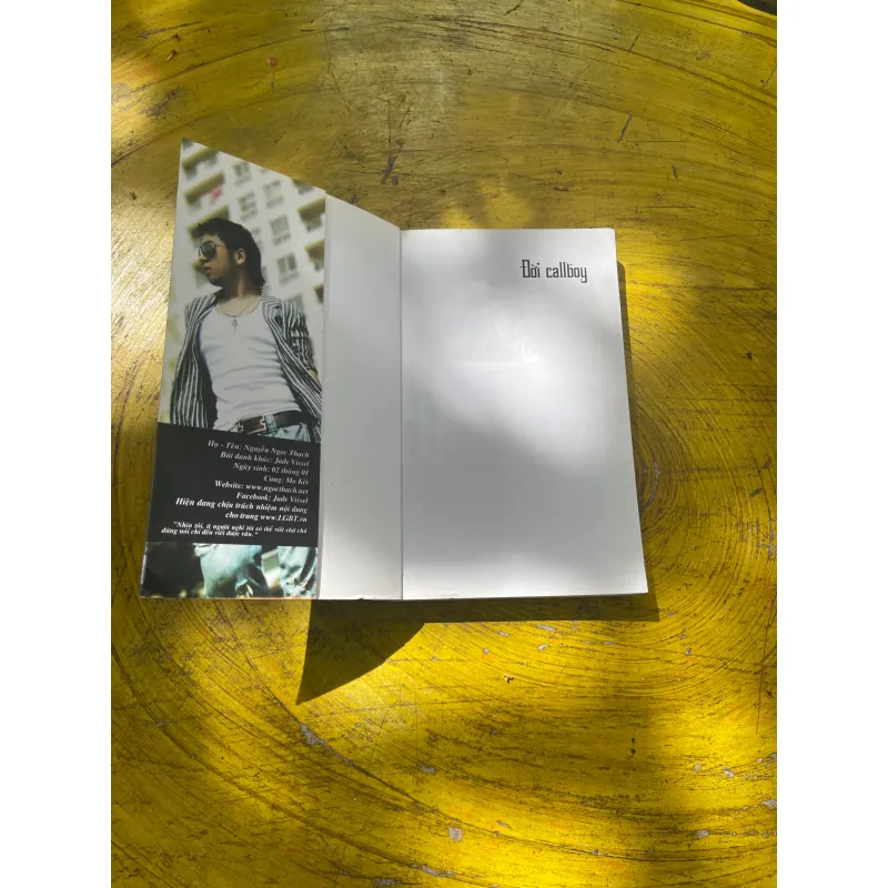 ĐỜI CALLBOY- NGUYỄN NGỌC THẠCH 722838