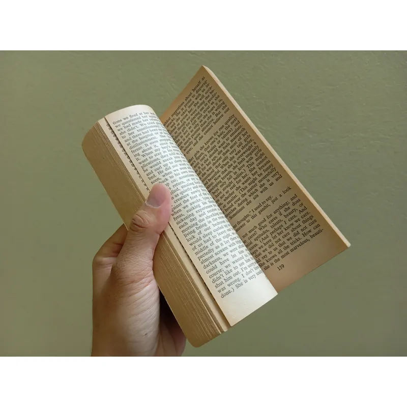 Something happened, sách ngoại văn tiếng Anh english book tiểu thuyết  707873