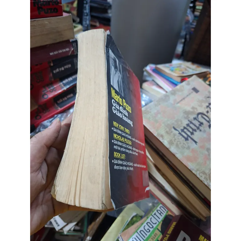 Mario gia đình giáo hoàng 972428