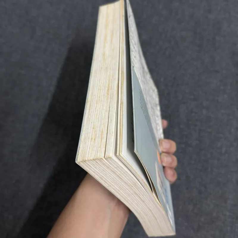 Trận chiến Điện Biên Phủ - Jules Roy 798073