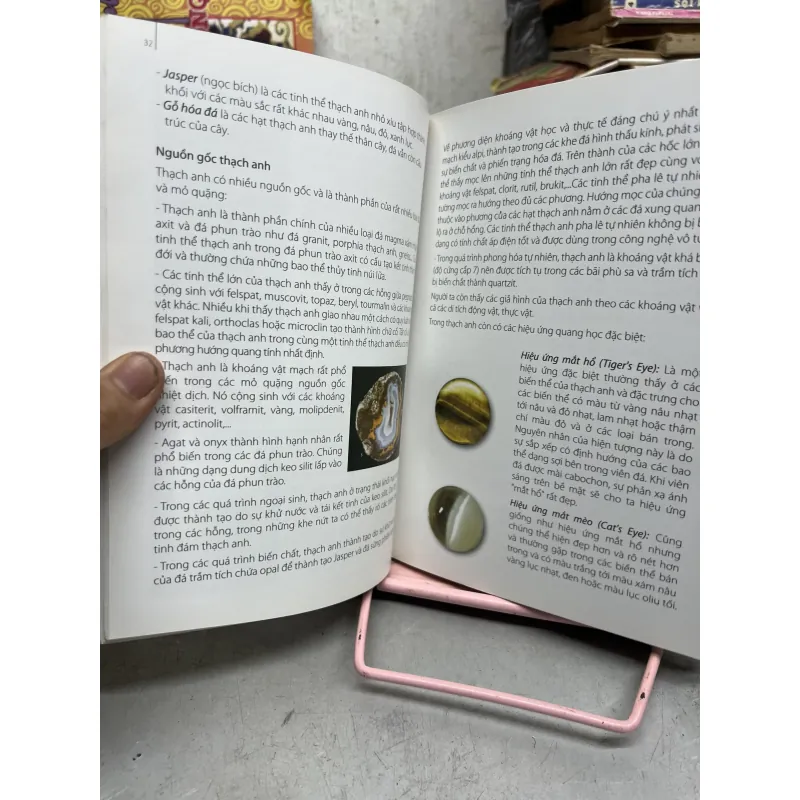 Nghệ thuật thưởng ngoạn đá cảnh 971284