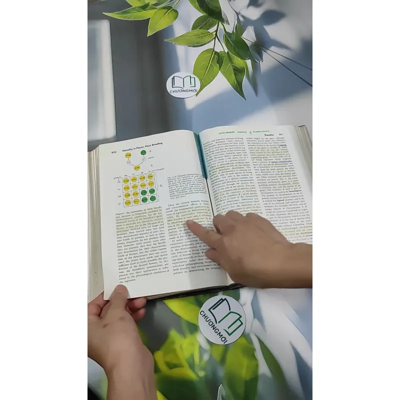 [MIỄN PHÍ BỌC SÁCH] The Plant World - Harry J. Fuller 750801