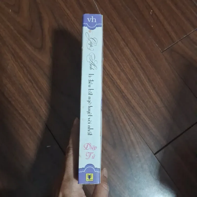 Gặp anh là điều bất ngờ tuyệtj vời nhất - diệp tử 706587