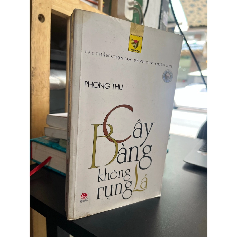 Cây bàng không rụng lá - Phong Thu 180003