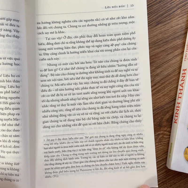 Thiên nga đen 970845