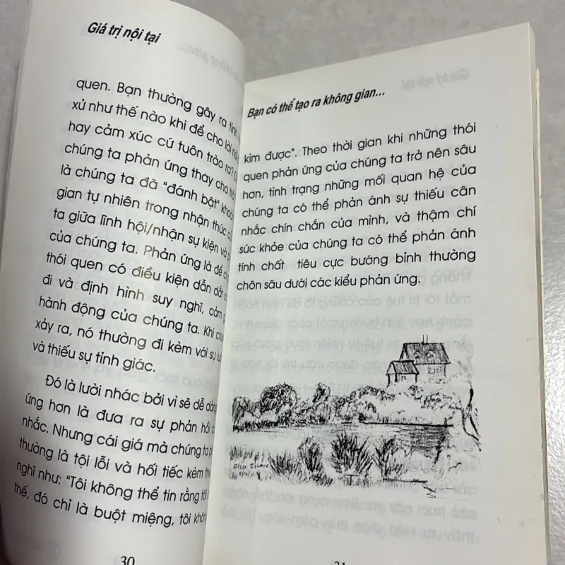 Giá trị nội tại - Mike George 779101