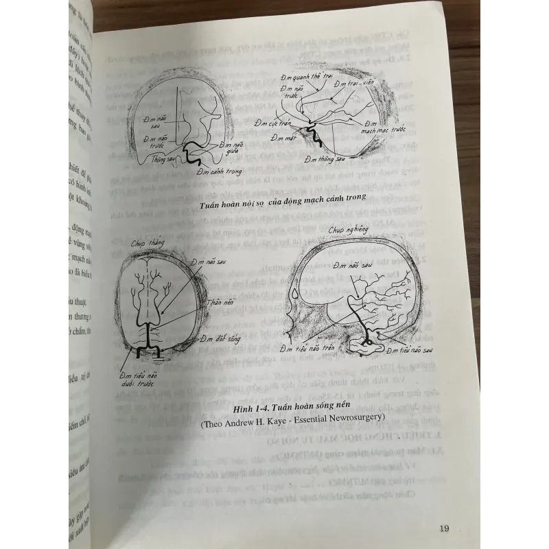 Triệu chứng học ngoại khóa - sách y- khổ lớn - 450 trang  791551