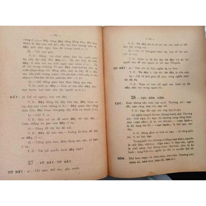 VIỆT NGỮ TINH NGHĨA TỪ ĐIỂN (2 TẬP) - LONG ĐIỀN NGUYỄN VĂN MINH  705112