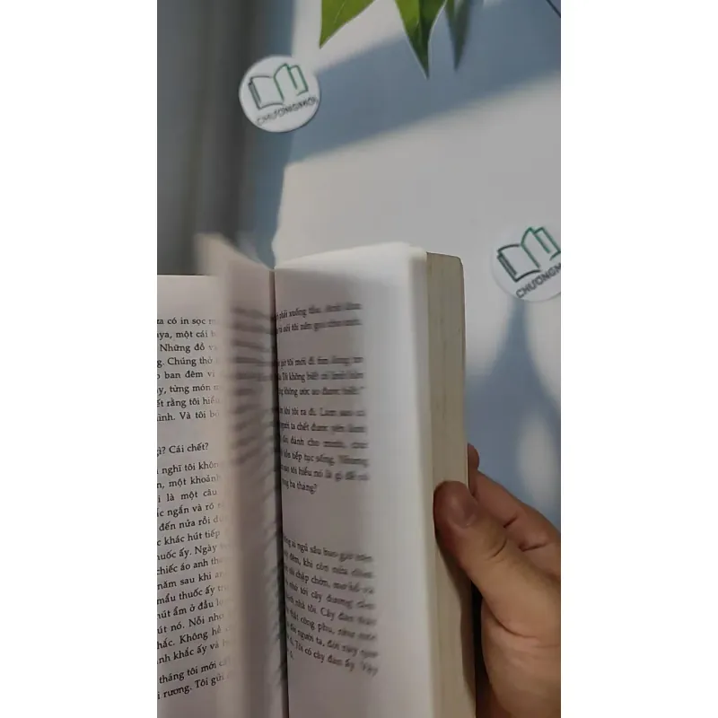 [MIỄN PHÍ BỌC SÁCH] Và Khi Tro Bụi - Đoàn Minh Phượng 798307