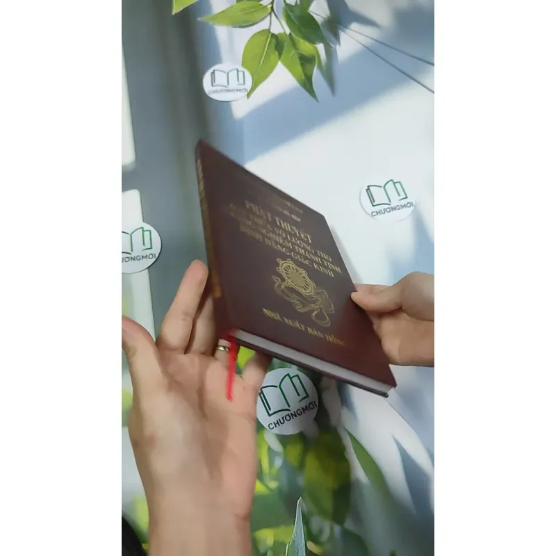 Đại Thừa Vô Lượng Thọ Trang Nghiêm Thanh Tịnh Bình Đẳng Giác Kinh - HT. Thích Đức Niệm 750812