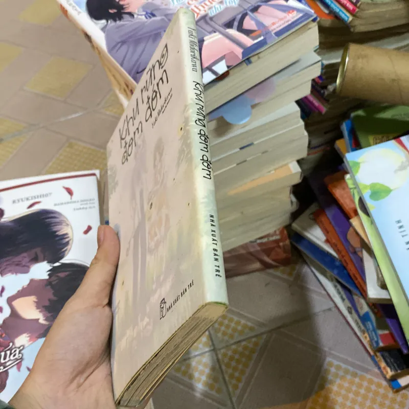 Khu rừng đom đóm 1023010