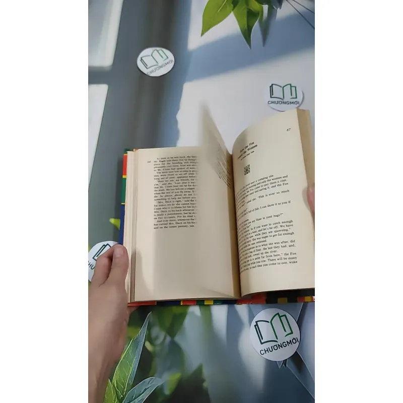 [MIỄN PHÍ BỌC SÁCH] [XƯA] Northern Lights (1980) 990449