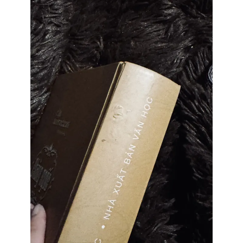 Chàng ngốc  789426