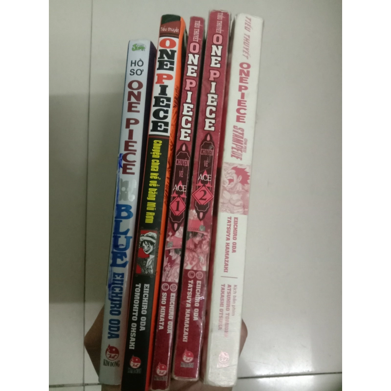 Tiểu thuyết, hồ sơ One Piece. 498025
