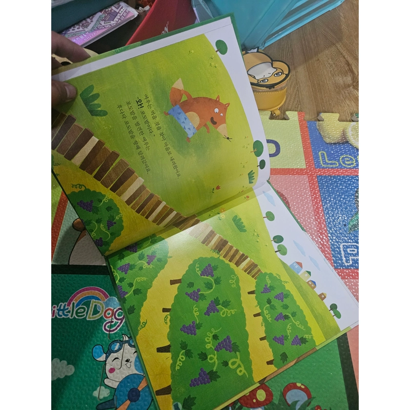 Sách học tiếng Hàn bìa cứng In màu như hình  418795