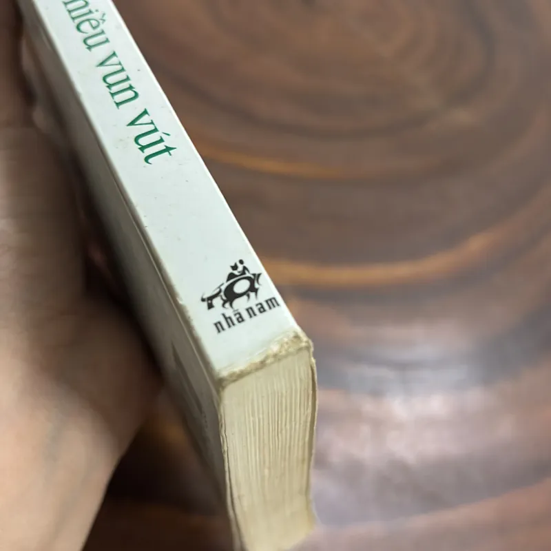 II Sách Hay: Ngược Chiều Vun Vút - JOE RUELLE - 2012 990767