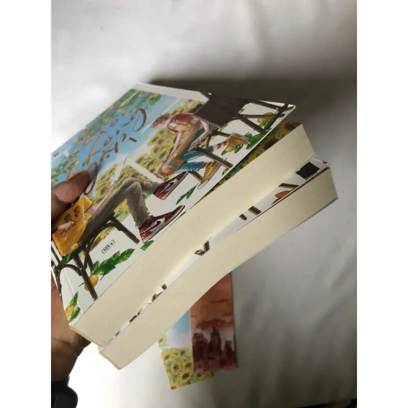 Lâu Rồi Không Gặp - Bắc Nam 746392