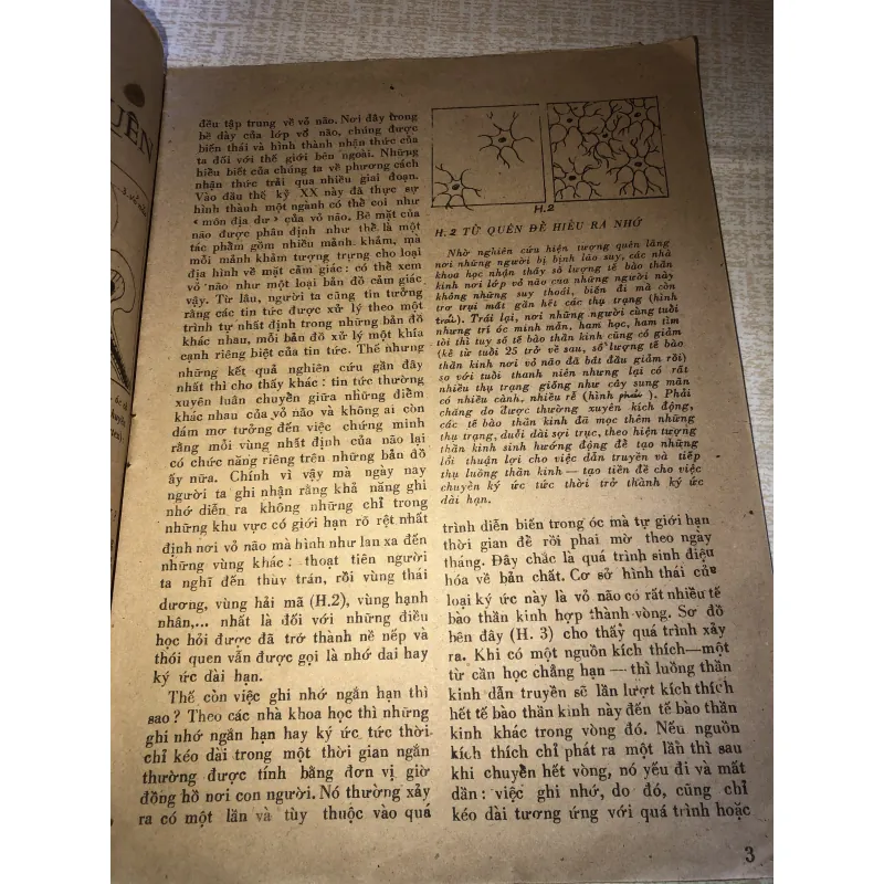 Rèn luyện trí nhớ 973091