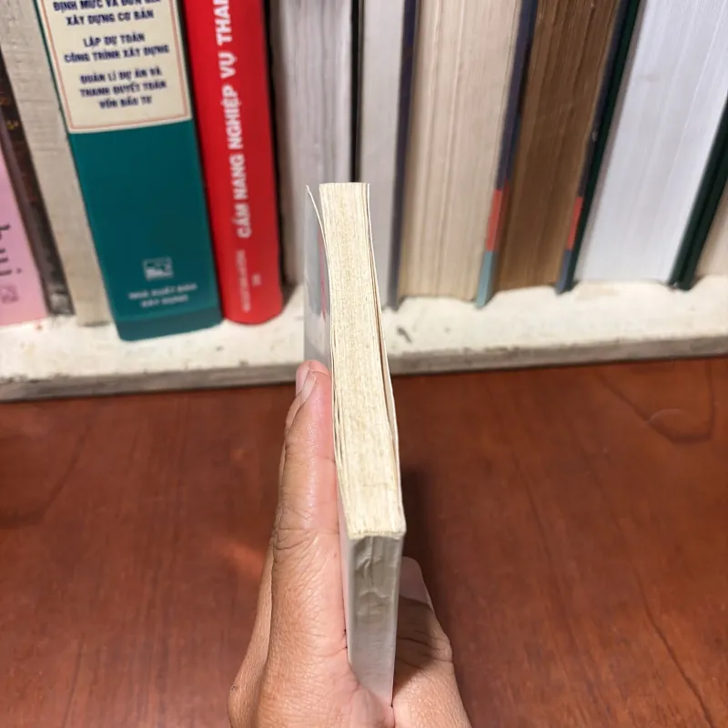 Sách Luật: Trách Nhiệm Hình Sự Đối Với Các Tội Phạm Về Ma Tuý - TS. Trần Văn Luyện - 2000 748203