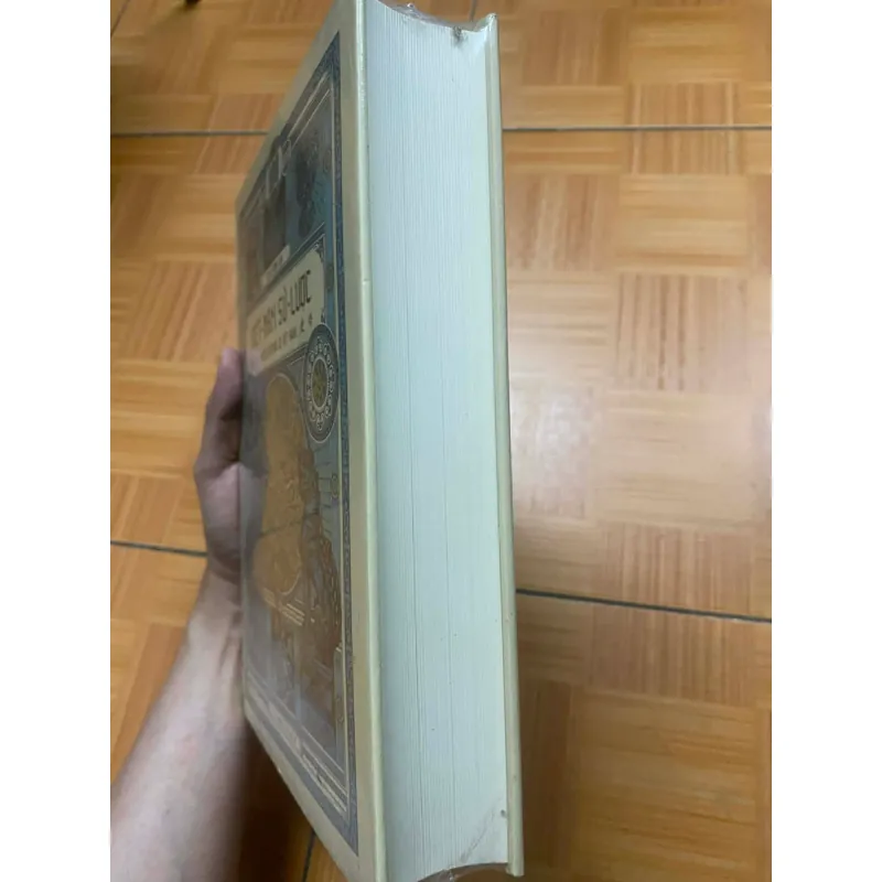 Việt Nam sử lược (ấn bản đặc biệt kỉ niệm 100 năm) 702728