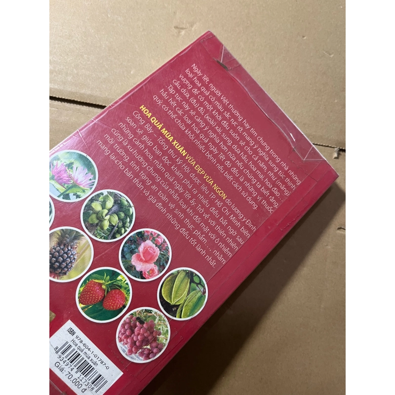 Hoa Quả Mùa Xuân 528298