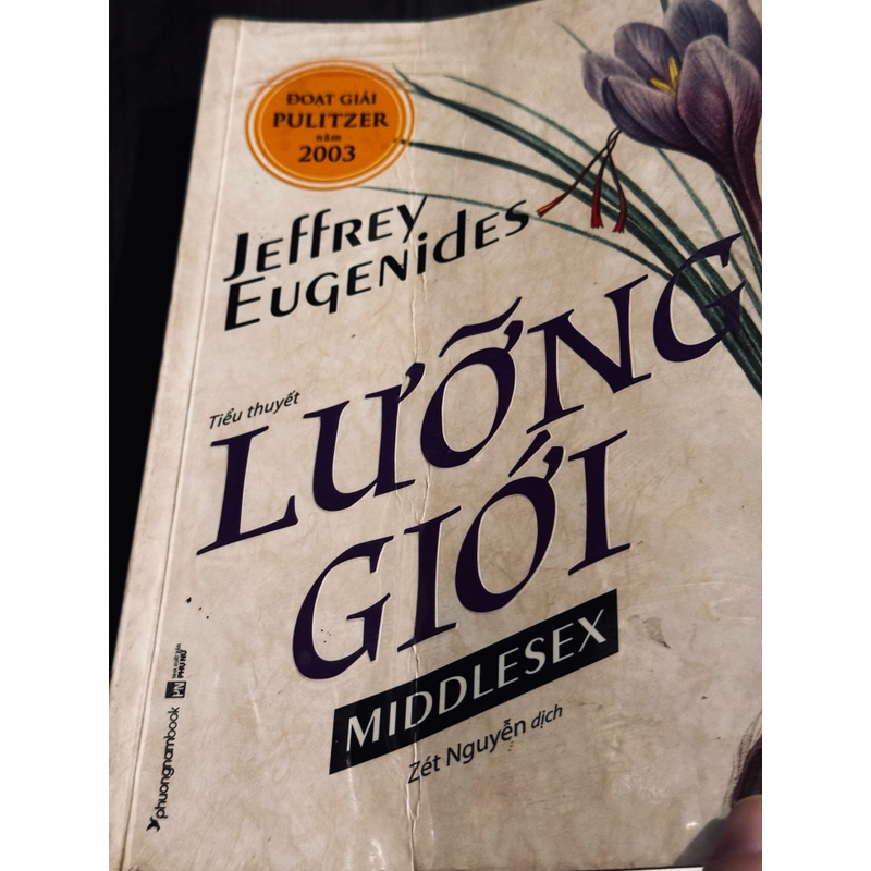 Lưỡng giới 502147