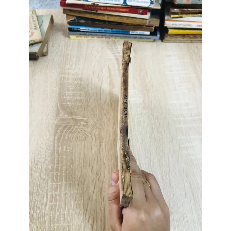 XUNG KÍCH – Nguyễn Đình Thi 928949