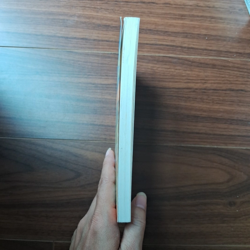 Núi rừng vẫy gọi 505812