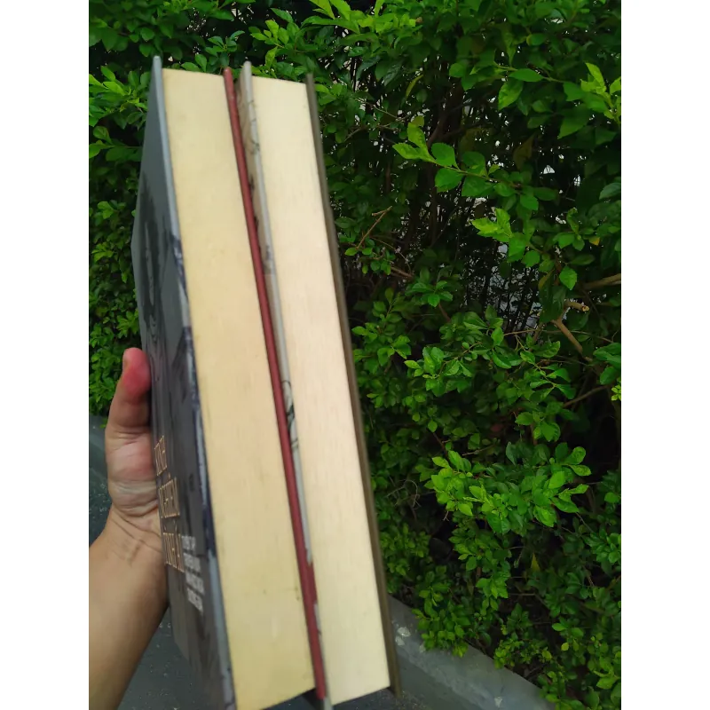 Đôi cánh + Kinh nghiệm tình ái combo 1002602