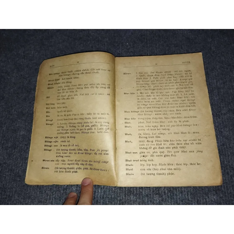 TỪ ĐIỂN MÈO - VIỆT 992515