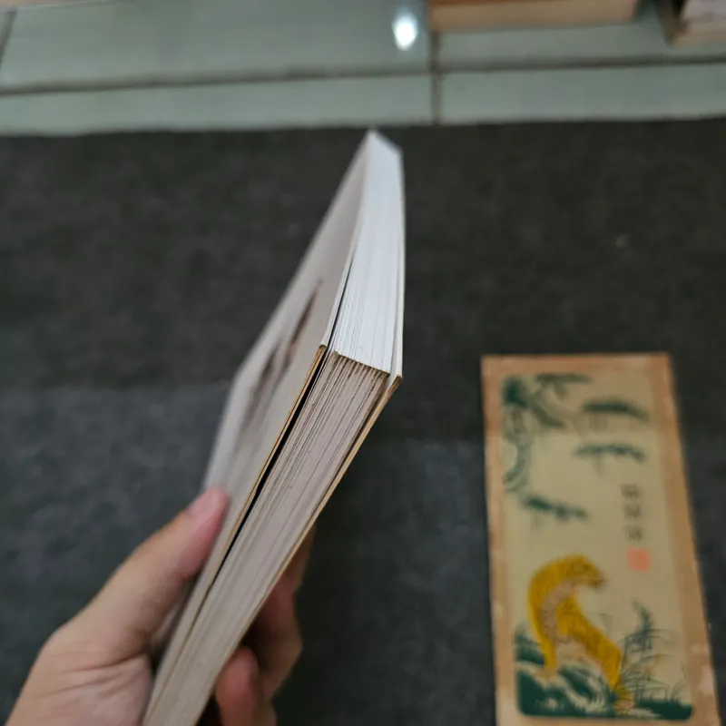 Lỗi (error 404 )- plaaastic 737226