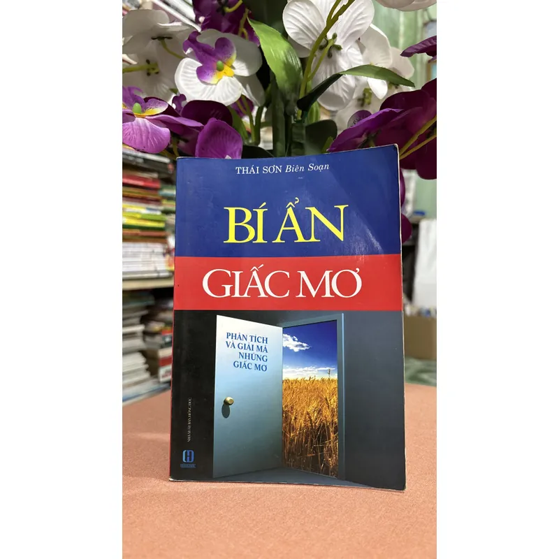 Bí ẩn giấc mơ 🌊 728850
