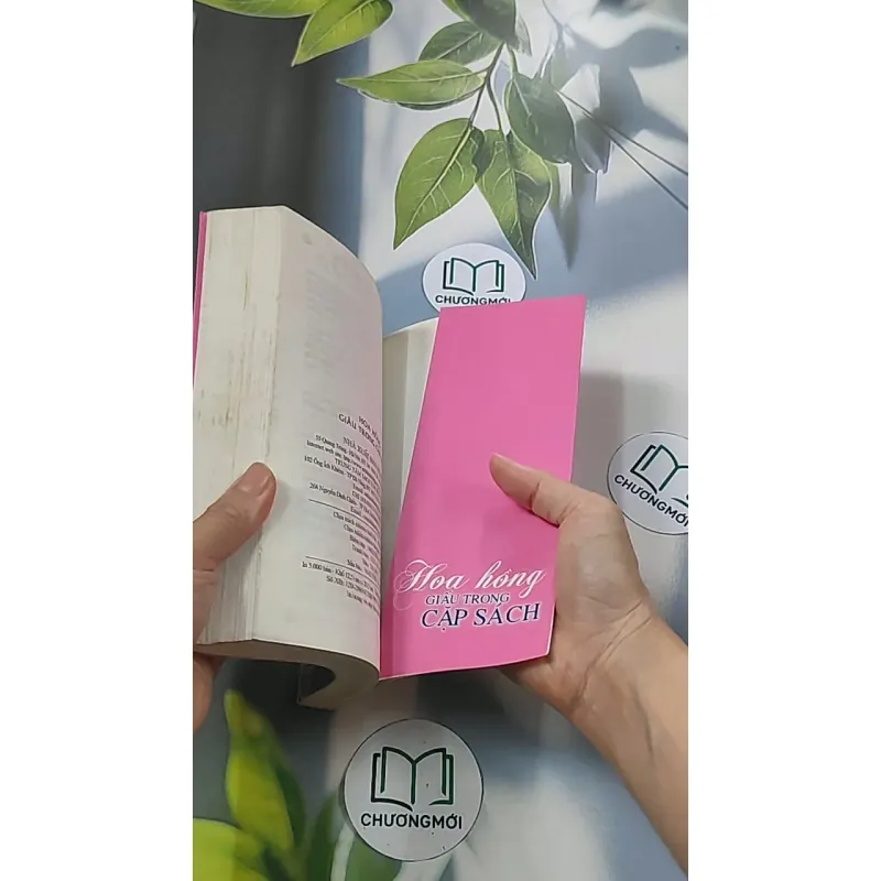 Hoa hồng dấu trong cặp sách - Tôn Văn Hiểu 688652