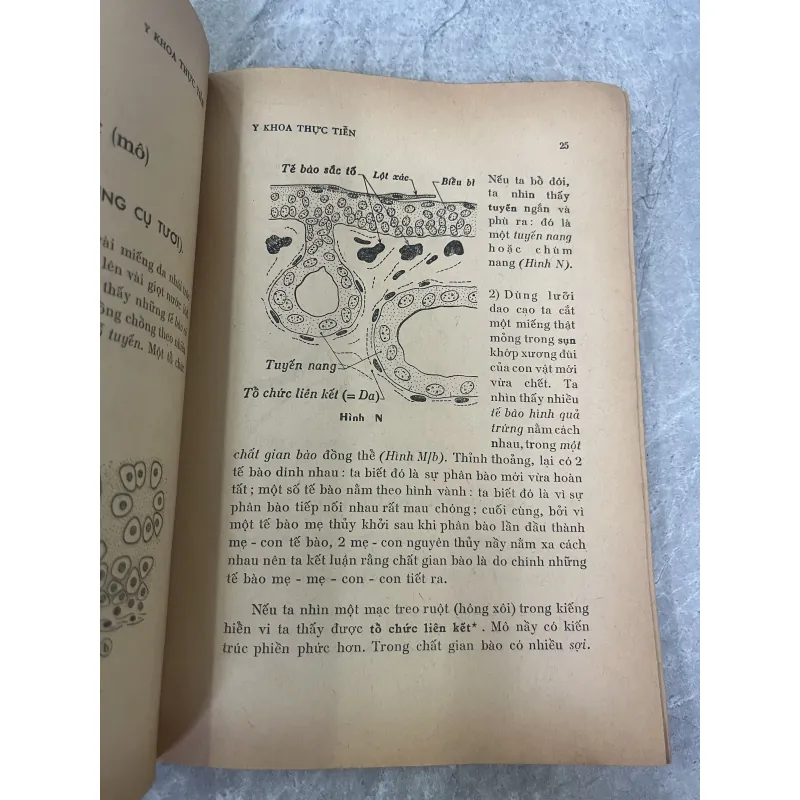 ẤP XE PHỔI - LƯƠNG PHÁN, NGUYỄN THỊ LỢI 785813