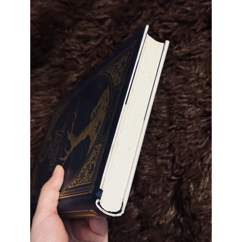 Đỉnh gió hú (bìa cứng) 736205