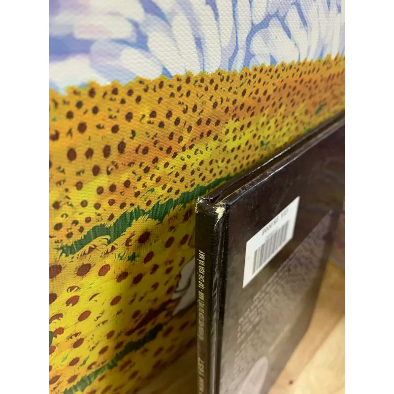 Ký Sự Đến Việt Nam Năm 1657 - Chu Thuấn Thuỷ 926304