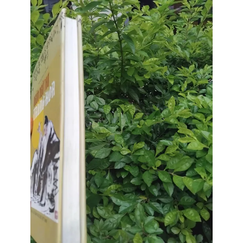 Ngôn ngữ thơ Trung Hoa của Francois Cheng  1001942