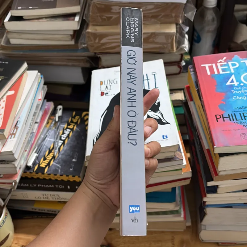 II Sách Trinh Thám: Giờ Này Anh Ở Đâu? - MARY HIGGINS CLARK - 2010 696001