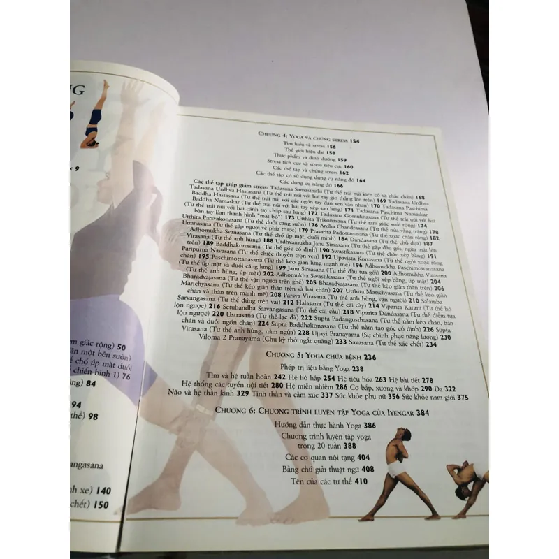 KỸ THUẬT & THỰC HÀNH YOGA TOÀN TẬP – B.K.S. IYENGAR 599383