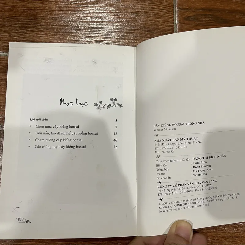 Cây kiểng Bonsai trong nhà (6) 715975