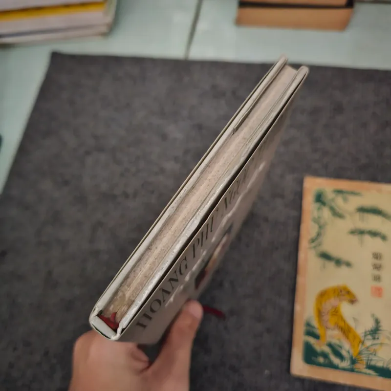 Trịnh công sơn và cây đàn lya của hoàng tử bé - hoàng phủ ngọc tường 745287