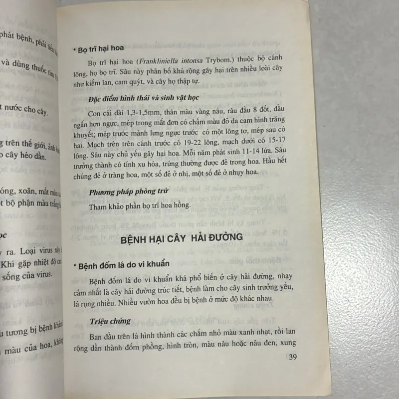 Phòng trừ sâu bệnh cây cảnh 790669
