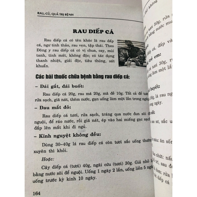 NHỮNG BÀI THUỐC DÂN GIAN RAU, CỦ, QUẢ TRỊ BỆNH  455862